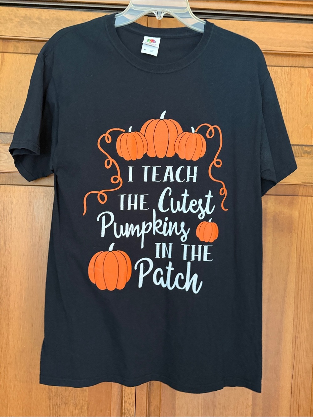I Teach the Cutest Pumpkins in the Patch t-shirt